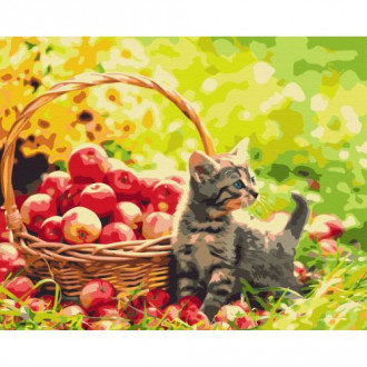 Картина по номерам &quot;Яблочный котик&quot; ★★★ MiC Украина 